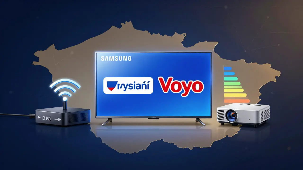 Konceptuální znázornění tří typů multimediálních systémů pro české domácnosti.