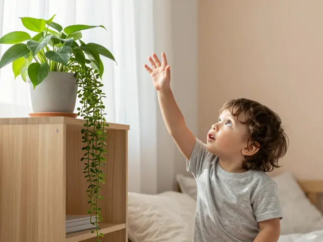 Rostliny v dětském pokoji: bezpečné a nenáročné druhy pro děti